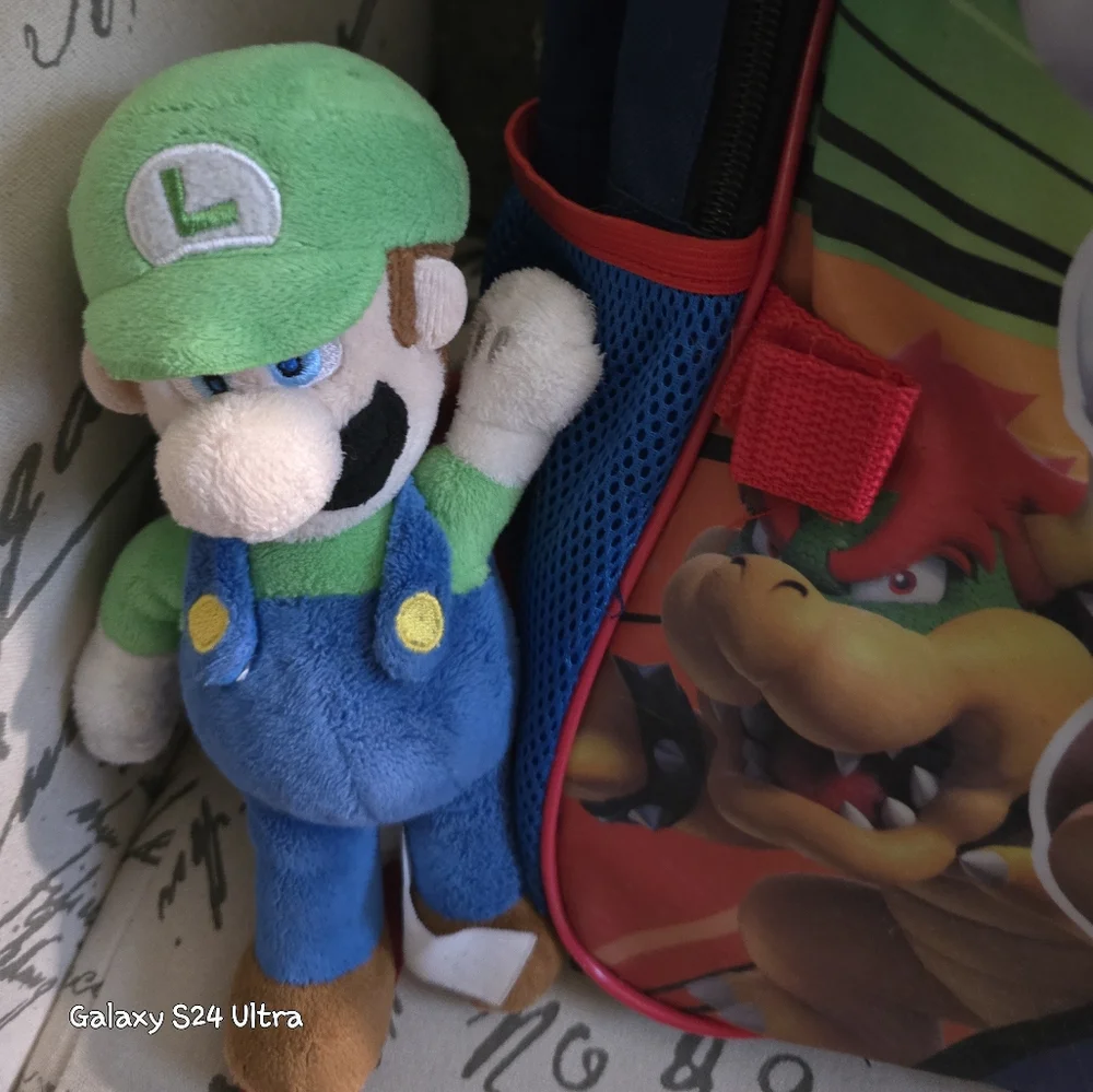 Mario Large Bookbag Backpack With 2 Plush Toys EUC